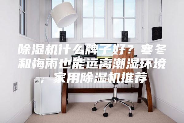 除濕機(jī)什么牌子好？寒冬和梅雨也能遠(yuǎn)離潮濕環(huán)境，家用除濕機(jī)推薦