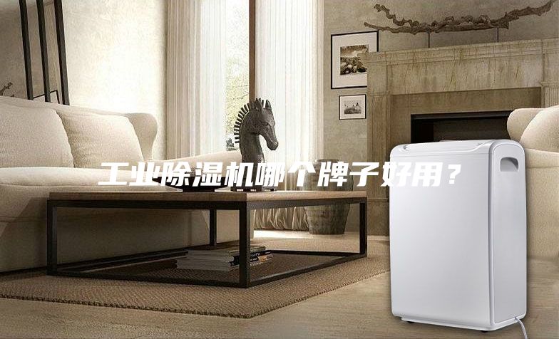工業(yè)除濕機(jī)哪個(gè)牌子好用？