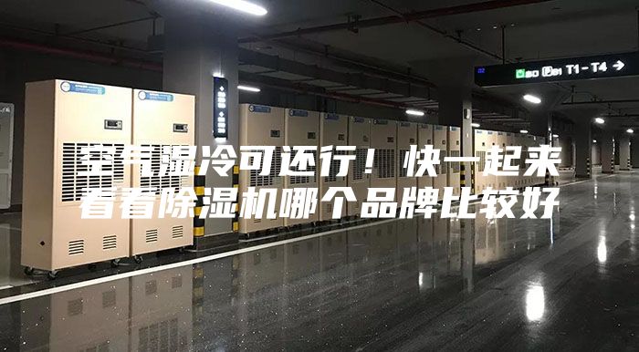 空氣濕冷可還行！快一起來看看除濕機哪個品牌比較好