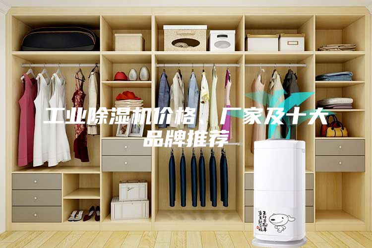 工業(yè)除濕機(jī)價(jià)格、廠家及十大品牌推薦