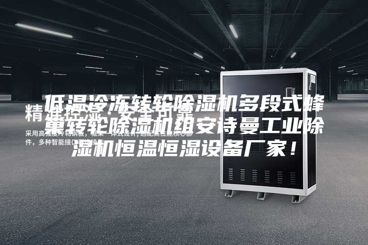 低溫冷凍轉(zhuǎn)輪除濕機(jī)多段式蜂巢轉(zhuǎn)輪除濕機(jī)組安詩(shī)曼工業(yè)除濕機(jī)恒溫恒濕設(shè)備廠家！