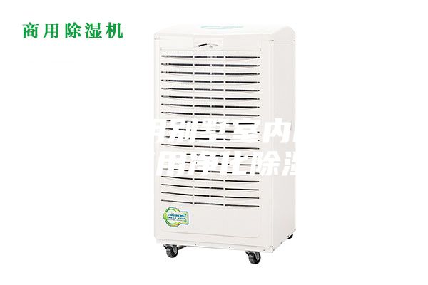 武漢家用別墅室內(nèi)除濕機，商用凈化除濕機