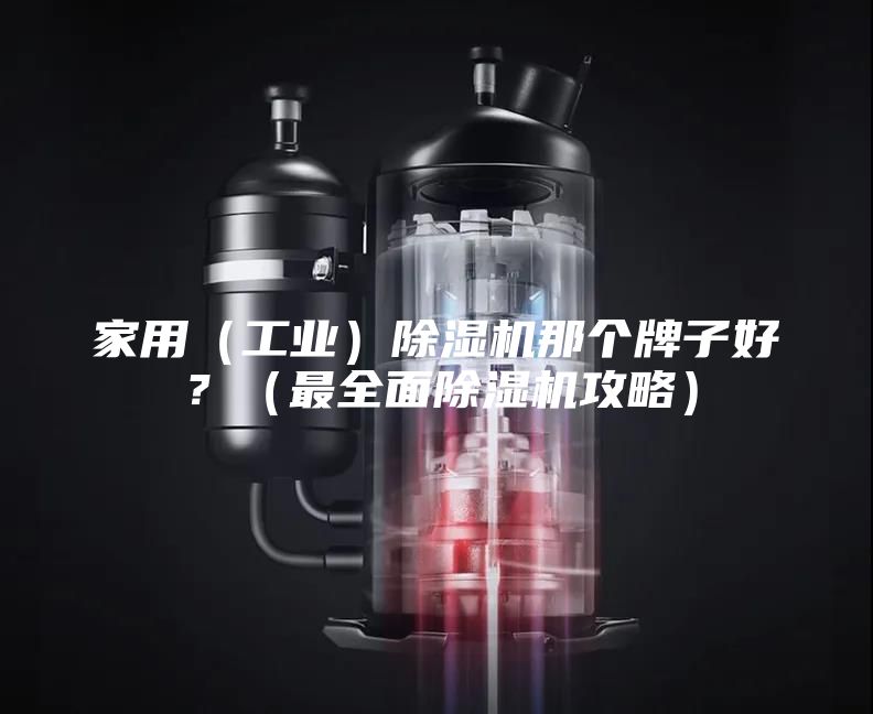 家用（工業(yè)）除濕機(jī)那個(gè)牌子好？（最全面除濕機(jī)攻略）