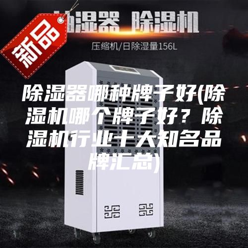 除濕器哪種牌子好(除濕機(jī)哪個(gè)牌子好？除濕機(jī)行業(yè)十大知名品牌匯總)