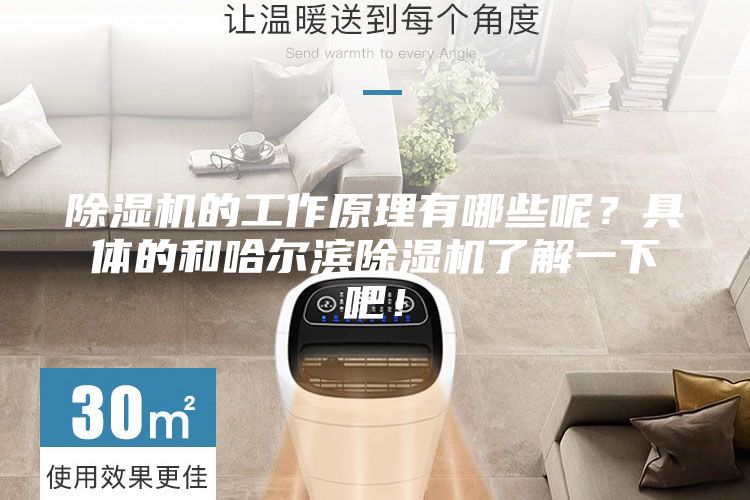 除濕機的工作原理有哪些呢？具體的和哈爾濱除濕機了解一下吧！