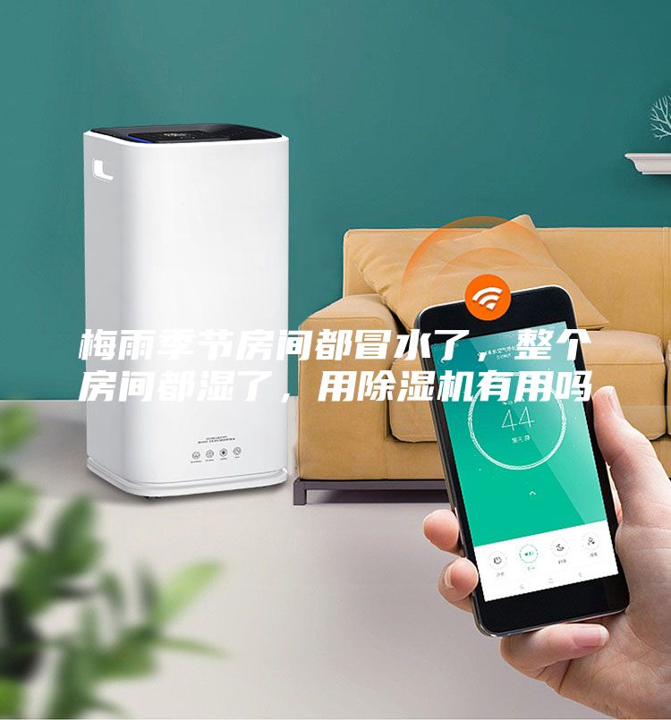 梅雨季節(jié)房間都冒水了，整個(gè)房間都濕了，用除濕機(jī)有用嗎