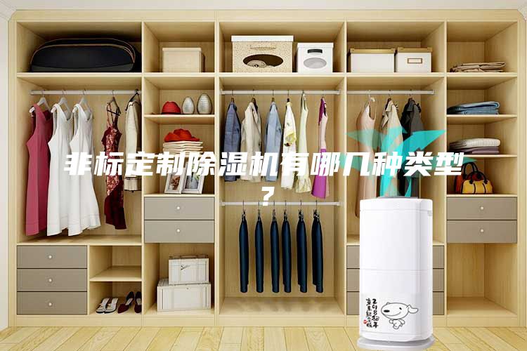 非標(biāo)定制除濕機(jī)有哪幾種類型？