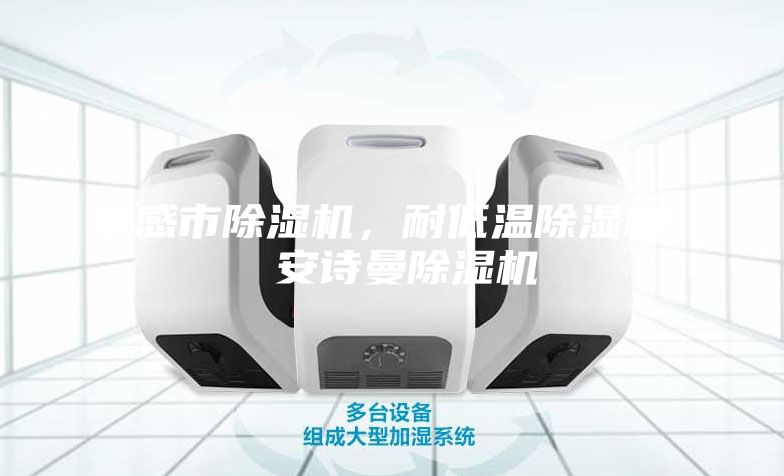 孝感市除濕機(jī)，耐低溫除濕機(jī)  安詩曼除濕機(jī)