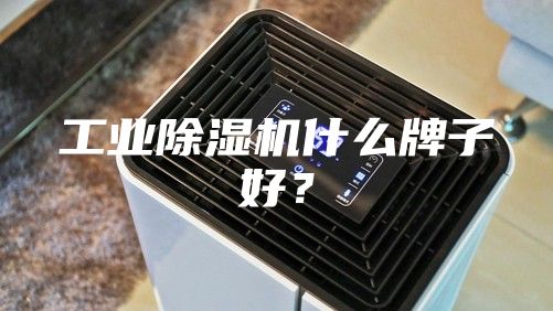 工業(yè)除濕機什么牌子好？