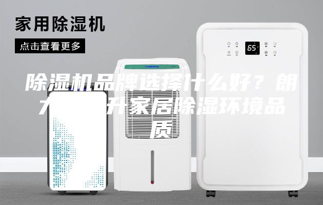 除濕機(jī)品牌選擇什么好？朗力信提升家居除濕環(huán)境品質(zhì)