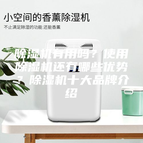 除濕機有用嗎？使用除濕機還有哪些優(yōu)勢？除濕機十大品牌介紹