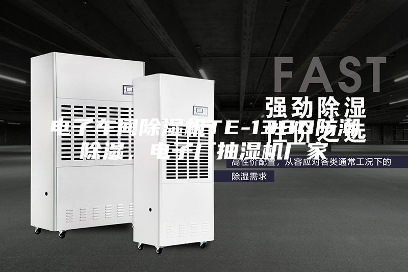 電子車間除濕機(jī)TE-138D防潮除濕，電子廠抽濕機(jī)廠家