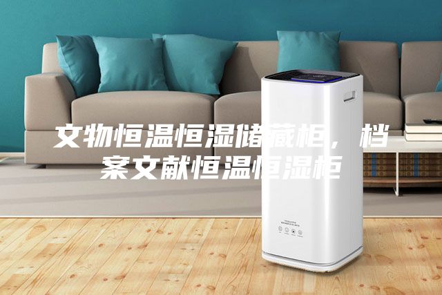 文物恒溫恒濕儲藏柜，檔案文獻恒溫恒濕柜