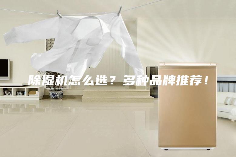 除濕機(jī)怎么選？多種品牌推薦！