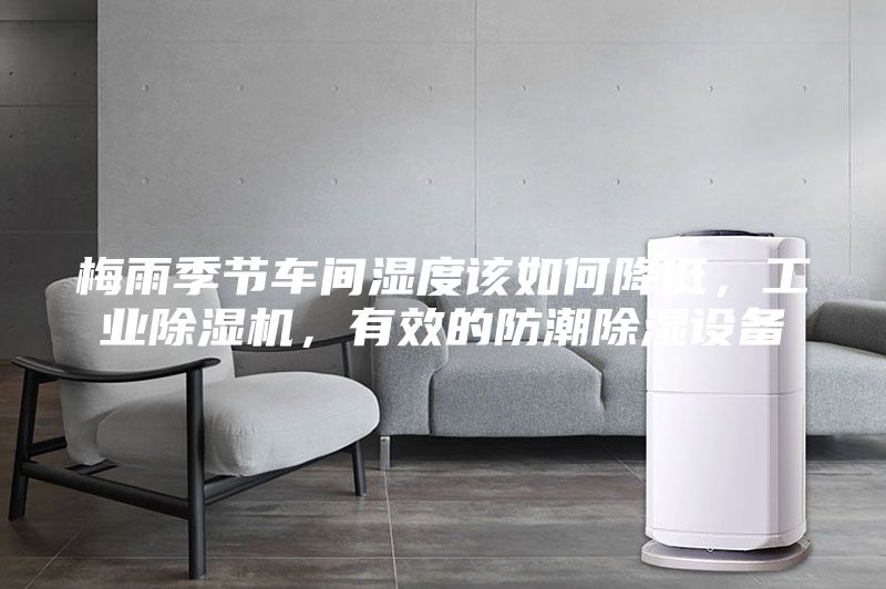 梅雨季節(jié)車間濕度該如何降低，工業(yè)除濕機(jī)，有效的防潮除濕設(shè)備