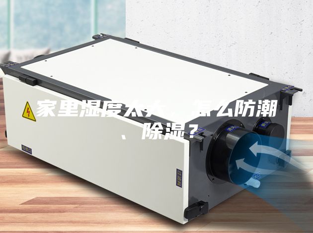 家里濕度太大，怎么防潮、除濕？