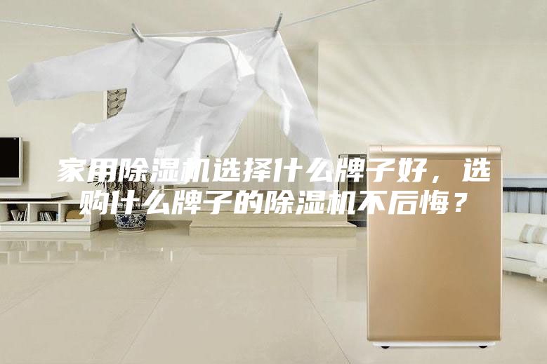 家用除濕機選擇什么牌子好，選購什么牌子的除濕機不后悔？