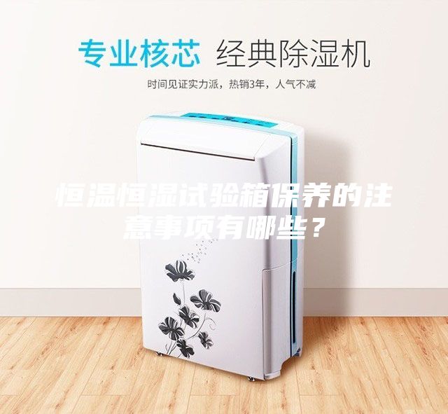 恒溫恒濕試驗(yàn)箱保養(yǎng)的注意事項(xiàng)有哪些？