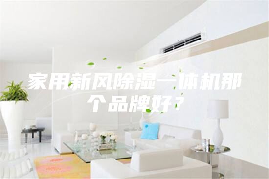 家用新風(fēng)除濕一體機(jī)那個品牌好？