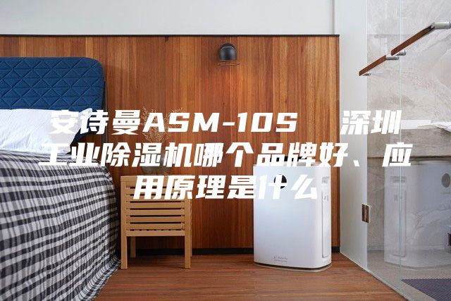 安詩曼ASM-10S  深圳工業(yè)除濕機哪個品牌好、應用原理是什么