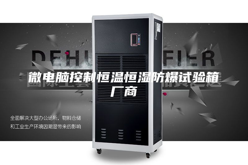 微電腦控制恒溫恒濕防爆試驗(yàn)箱廠(chǎng)商