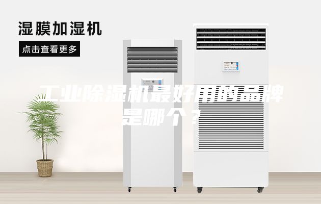工業(yè)除濕機(jī)最好用的品牌是哪個(gè)？