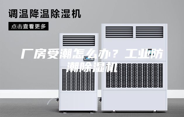 廠房受潮怎么辦？工業(yè)防潮除濕機(jī)
