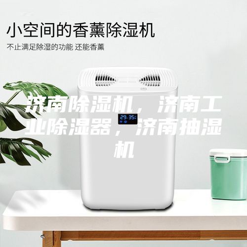 濟南除濕機，濟南工業(yè)除濕器，濟南抽濕機