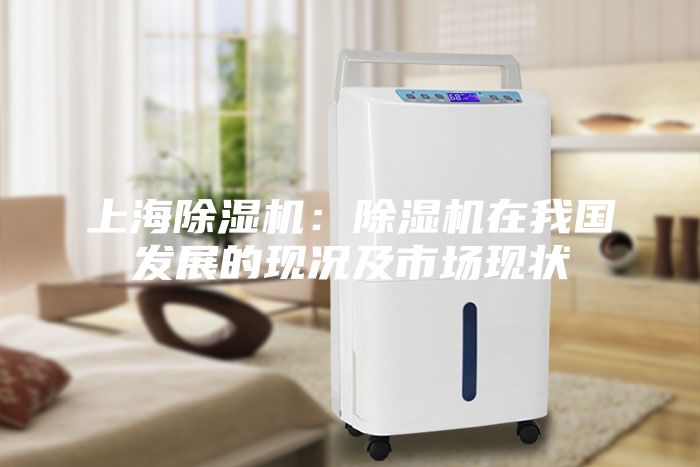 上海除濕機(jī)：除濕機(jī)在我國(guó)發(fā)展的現(xiàn)況及市場(chǎng)現(xiàn)狀