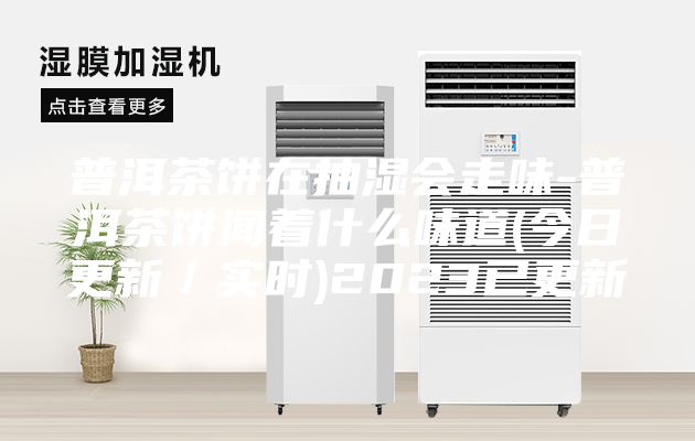 普洱茶餅在抽濕會走味-普洱茶餅聞著什么味道(今日更新／實(shí)時)2023已更新