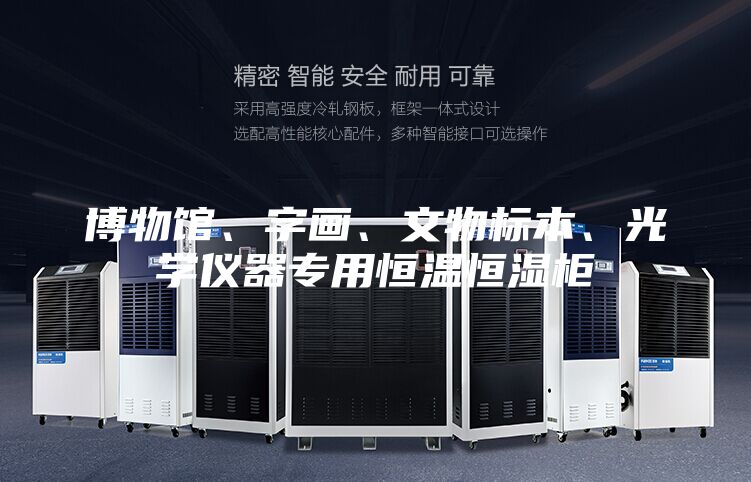 博物館、字畫、文物標本、光學儀器專用恒溫恒濕柜