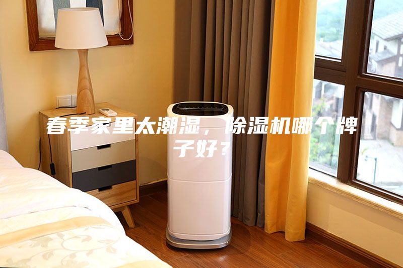 春季家里太潮濕，除濕機哪個牌子好？