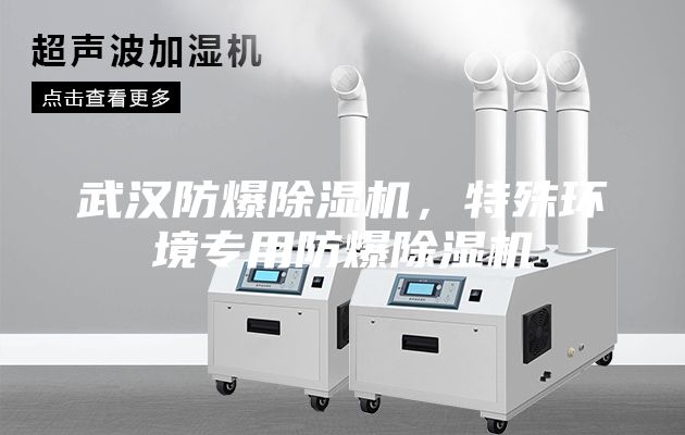 武漢防爆除濕機，特殊環(huán)境專用防爆除濕機