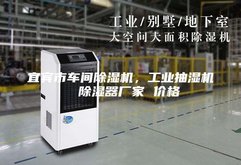 宜賓市車間除濕機(jī)，工業(yè)抽濕機(jī)  除濕器廠家 價(jià)格