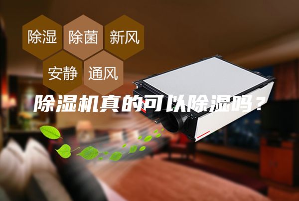 除濕機(jī)真的可以除濕嗎？