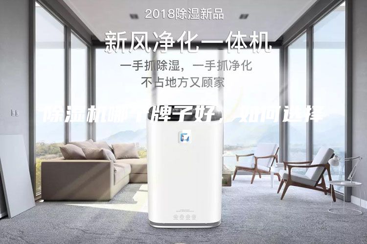 除濕機哪個牌子好，如何選擇？