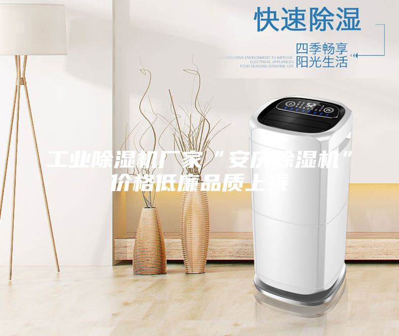 工業(yè)除濕機(jī)廠(chǎng)家“安慶除濕機(jī)”價(jià)格低廉品質(zhì)上乘