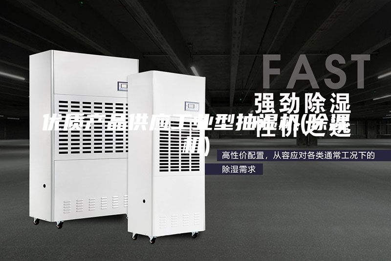 優(yōu)質產(chǎn)品供應工業(yè)型抽濕機(除濕機)