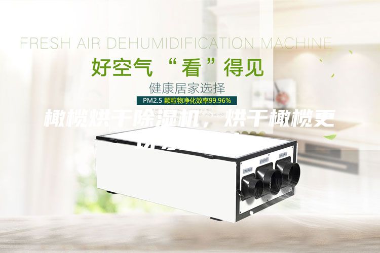 橄欖烘干除濕機(jī)，烘干橄欖更均勻更衛(wèi)生