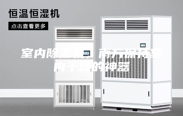 室內(nèi)除濕機(jī)，南方保持室內(nèi)干燥的神器