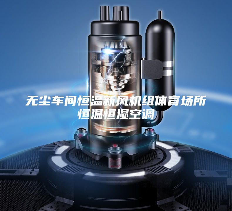 無塵車間恒溫新風(fēng)機(jī)組體育場(chǎng)所恒溫恒濕空調(diào)