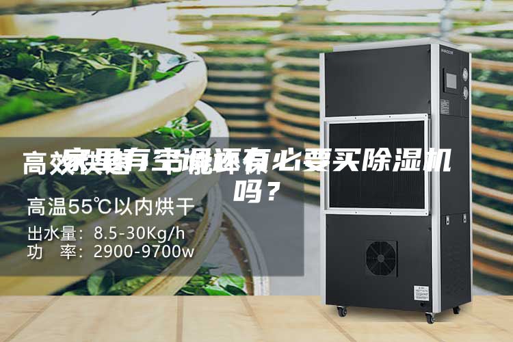 家里有空調(diào)還有必要買除濕機嗎？