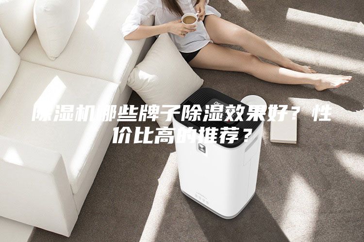 除濕機(jī)哪些牌子除濕效果好？性價比高的推薦？