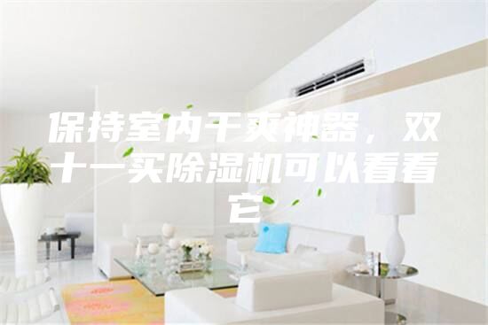 保持室內(nèi)干爽神器，雙十一買除濕機(jī)可以看看它