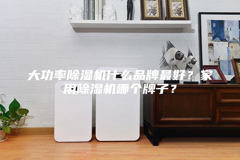 大功率除濕機(jī)什么品牌最好？家用除濕機(jī)哪個(gè)牌子？