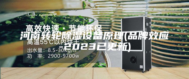 河南轉(zhuǎn)輪除濕設備原理(品牌效應-2023已更新)