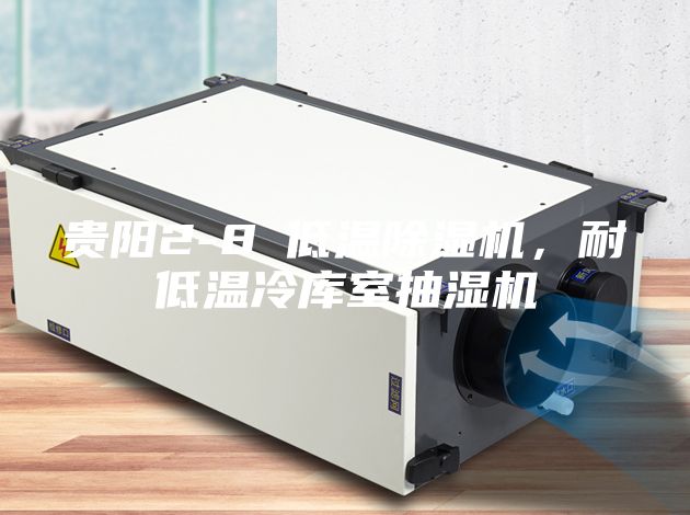 貴陽2-8℃低溫除濕機，耐低溫冷庫室抽濕機