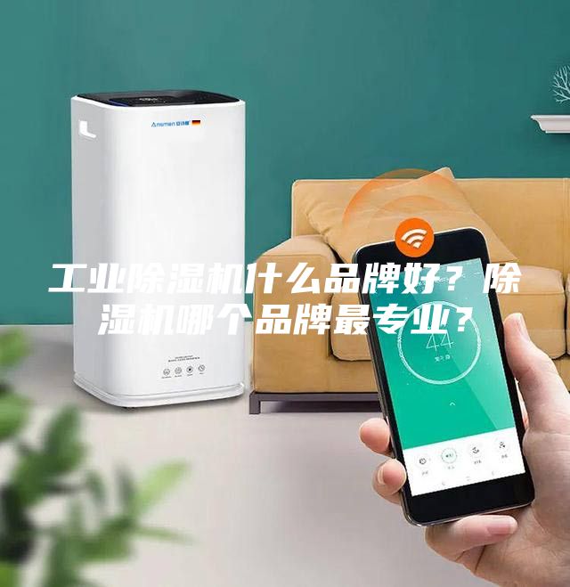 工業(yè)除濕機什么品牌好？除濕機哪個品牌最專業(yè)？