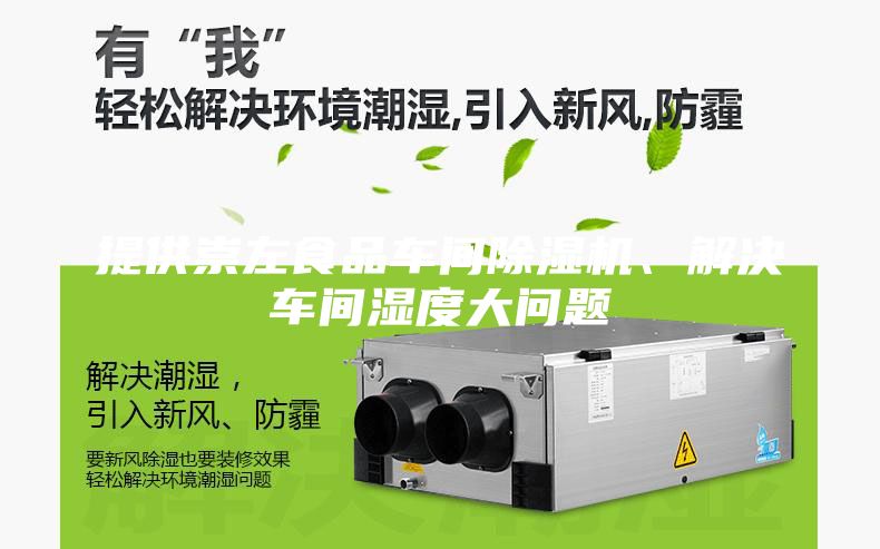 提供崇左食品車間除濕機、解決車間濕度大問題