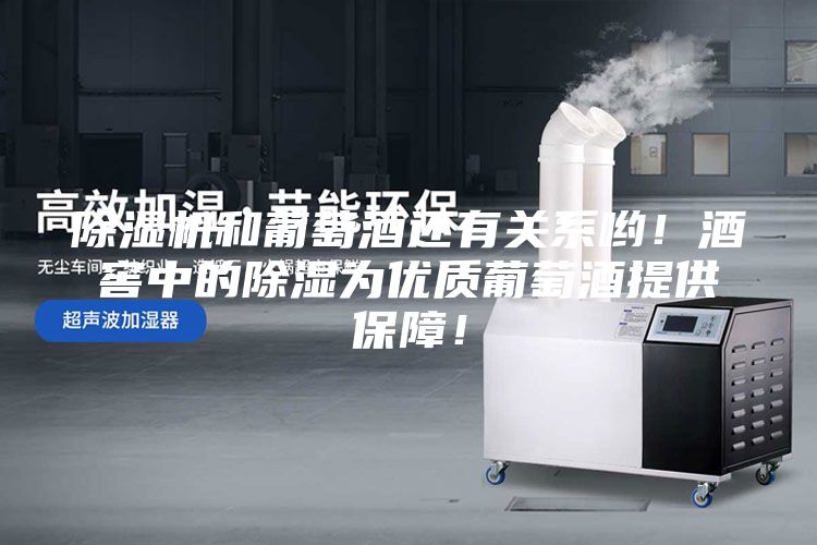 除濕機和葡萄酒還有關(guān)系喲！酒窖中的除濕為優(yōu)質(zhì)葡萄酒提供保障！
